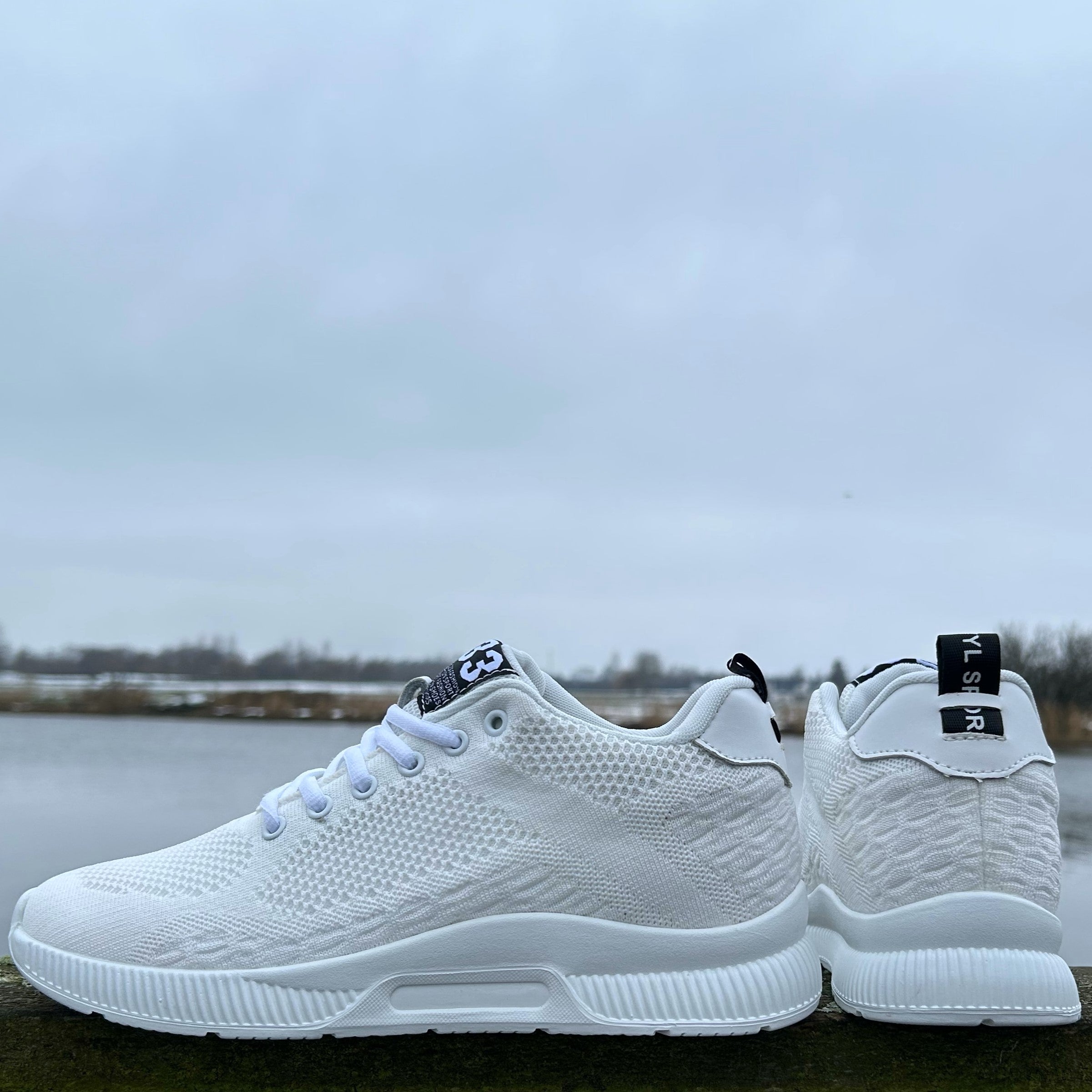 Elevate Sneakers (6 CM BOOST) - Frost